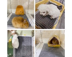 Waterdichte Wegwerp Inleggers voor Cavia Kooi - Absorberende Pipi Pads voor Kleine Dieren, 50 Stuks, 60x45 cm, Ideaal voor Konijnen, Hamsters en Chinchilla's
