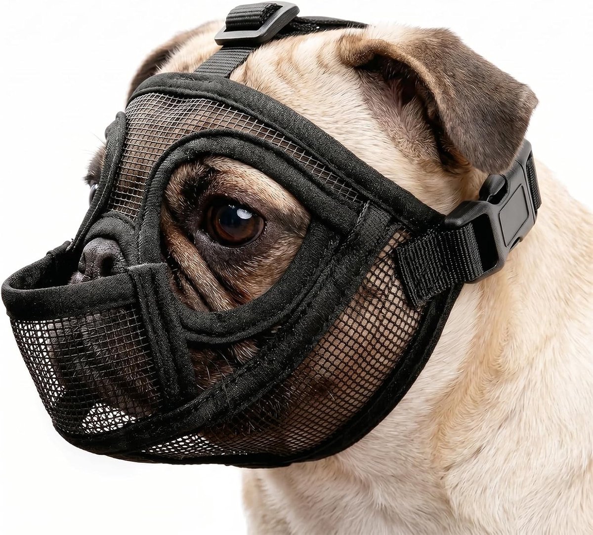 Franse bulldog muilkorf voor kleine honden - Verstelbare ademhaling, anti-bijten en blaffen, mesh ontwerp voor comfort en bescherming (zwart M)