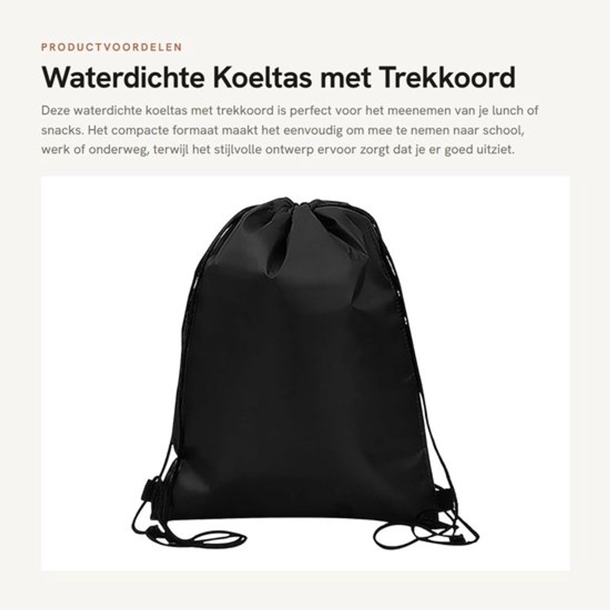 Koeltas Waterdicht - Opvouwbare Koeltas - Isolerende Lunchtas - Trekkoord - Compact - Zwart Polyester - Lunchbox