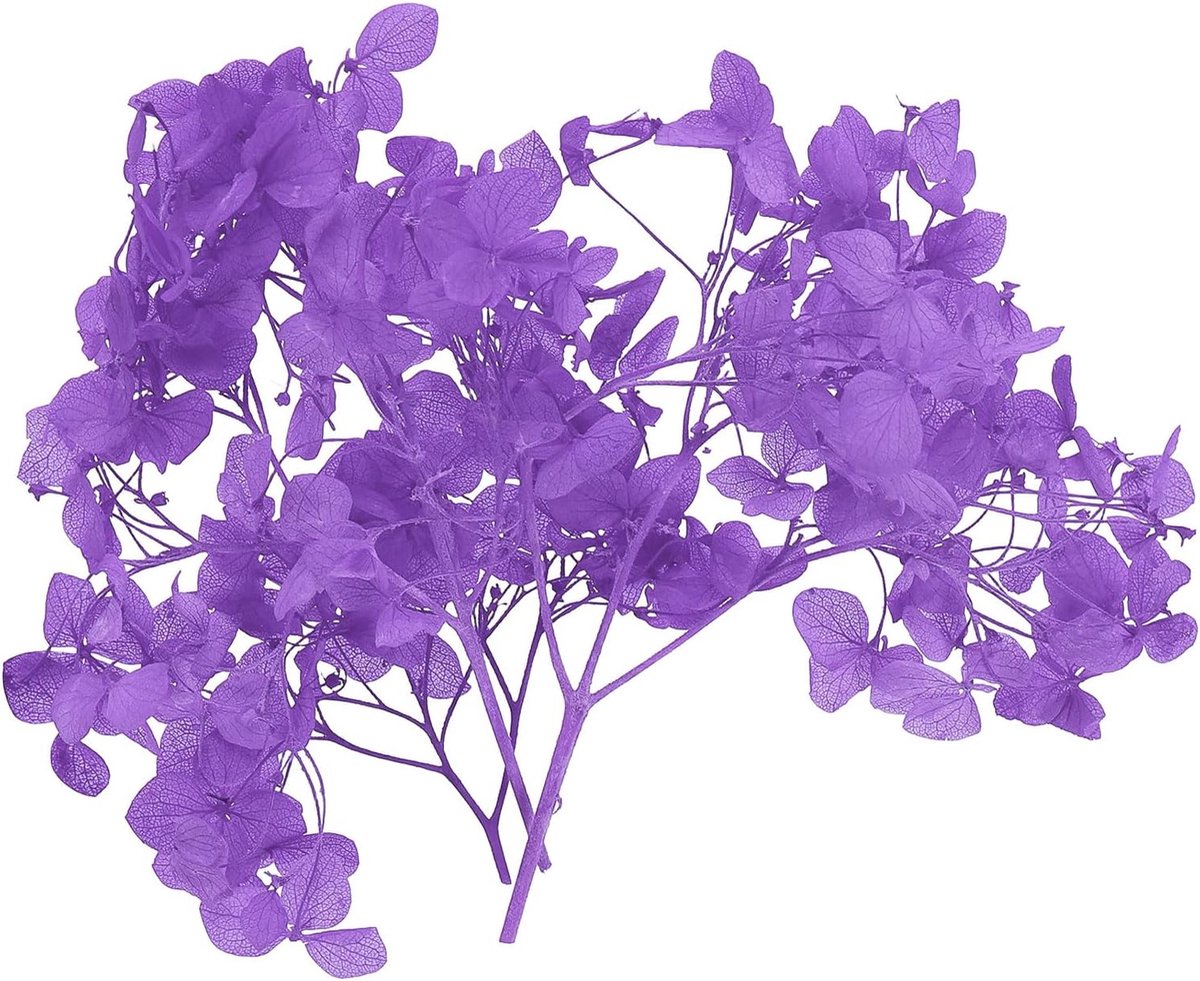 Gedroogde hortensia bloem, 10 g natuurlijke geperste bloemen, echte hortensia's bloemblaadjes voor doe-het-zelf hars ambachten kaart bloemen cadeau kaars maken decor, paars