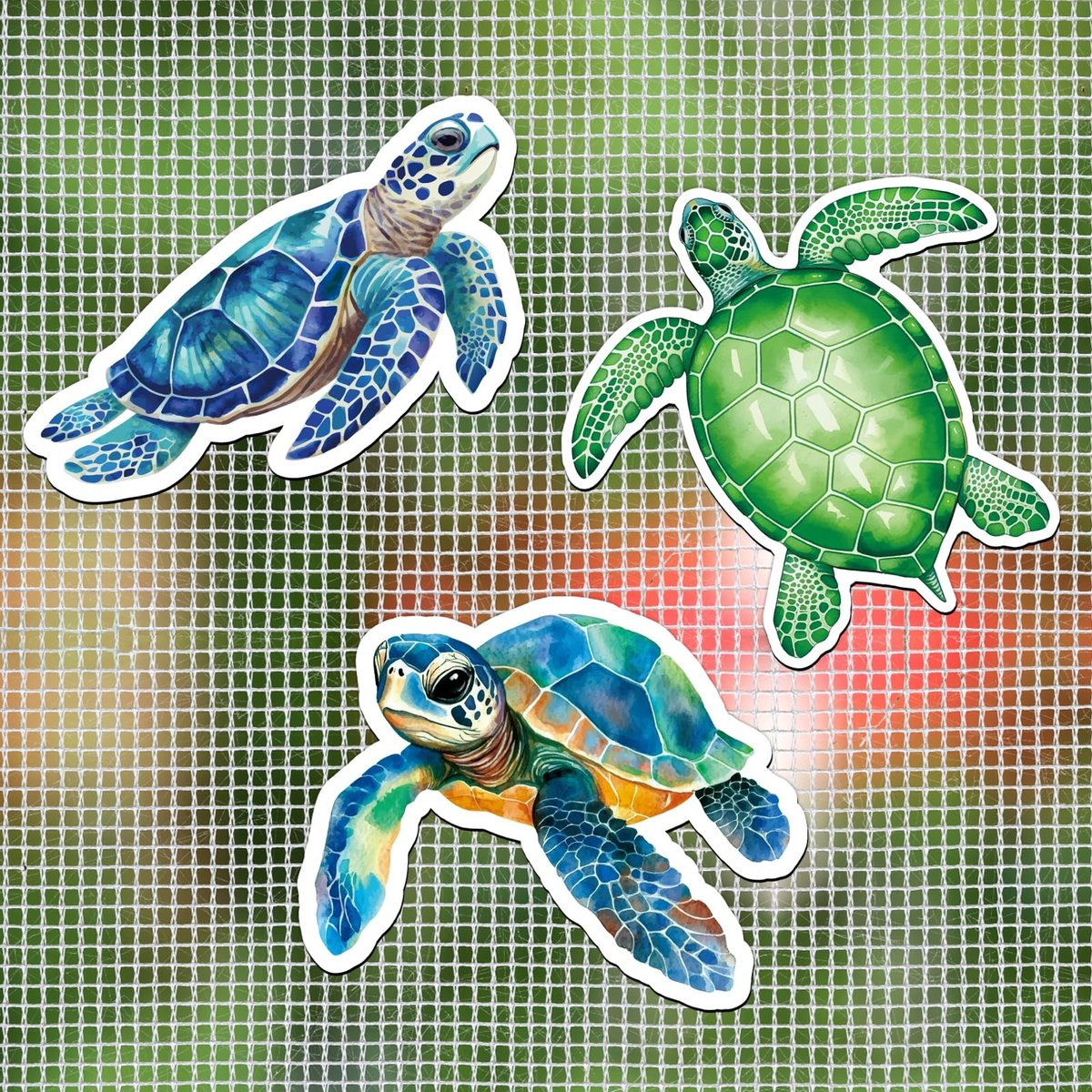 SolidKeus - Set van 6 Decoratieve Schildpad Magneten voor Koelkast en Deur