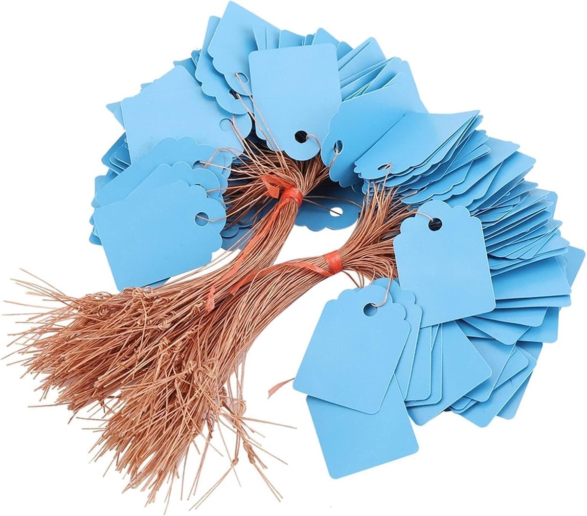 200-delige Plastic Plant Labels, Hangende Bloem Labels, Plantnaam Markering met Draad, Dubbelzijdige Labeling Labels voor Potten, Tuinieren (Blauw)