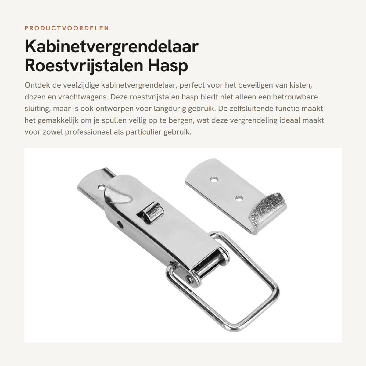 Dailygoods- Kabinetvergrendelaar Roestvrij Staal - Hasp/Toggle - Zelfsluitend - Compressie - Veilig - Geschikt voor Kisten/Dozen