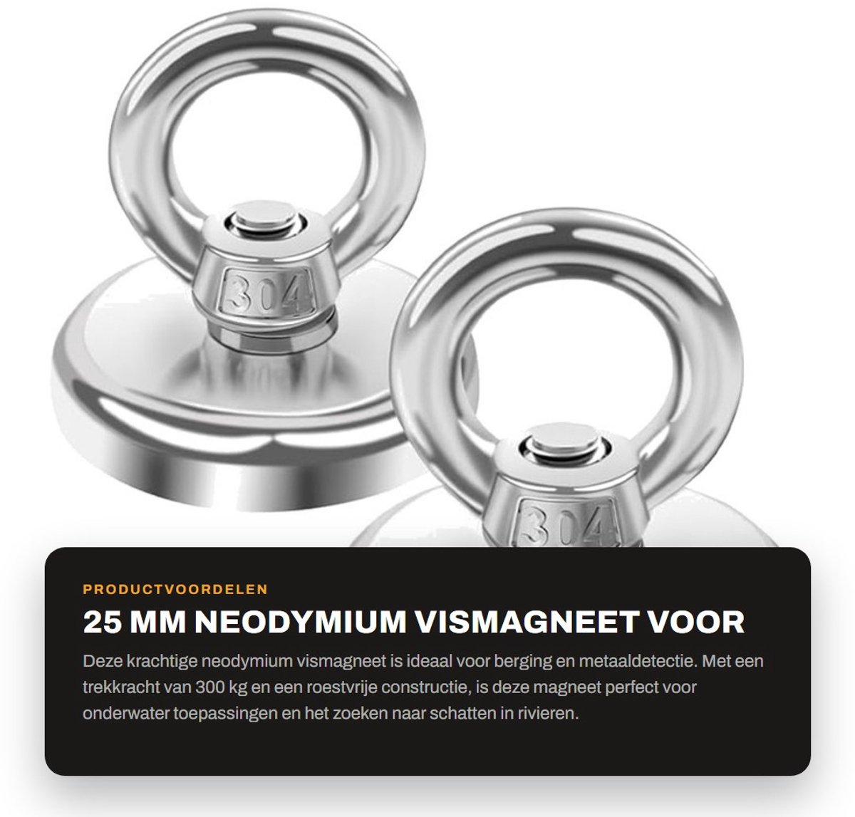 Dailygoods- Vismagneet 25 mm - Neodymium magneet - 300 kg trekkracht - Roestvrij staal - Corrosiewerend - Veiligheidsontwerp - Magneten