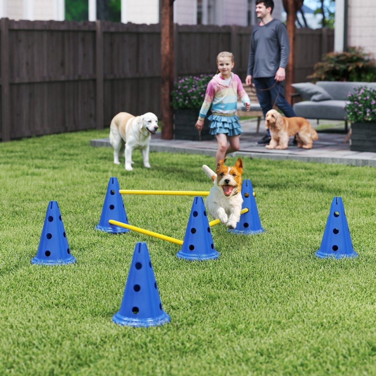 COVREO Agility set voor honden 80 x 22,5 x 30 cm - blauw ABS, 3 hoogtes verstelbaar