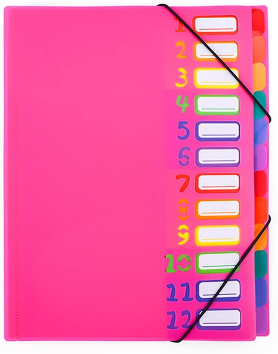 SnelShoppen - Project Folder A4 Met 12/20 Compartimenten - Lesmap, Persoonlijke Folder, Elastische Collectiefolder, Plastic Ringbinder, Waterdichte Ri