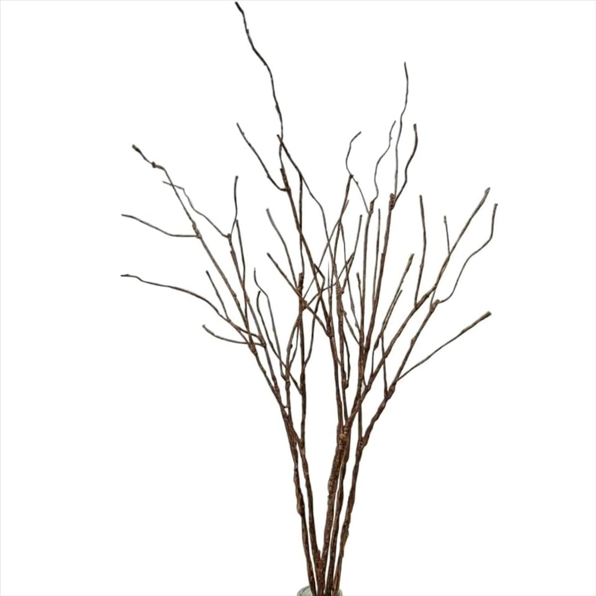 SnelShoppen - Kunstmatige Krullende Wilgen Takken, Decoratieve Droge Twijgen, 76cm Flexibele Sticks, Kunststof Klimop, DIY Groene Decoratie Planten vo