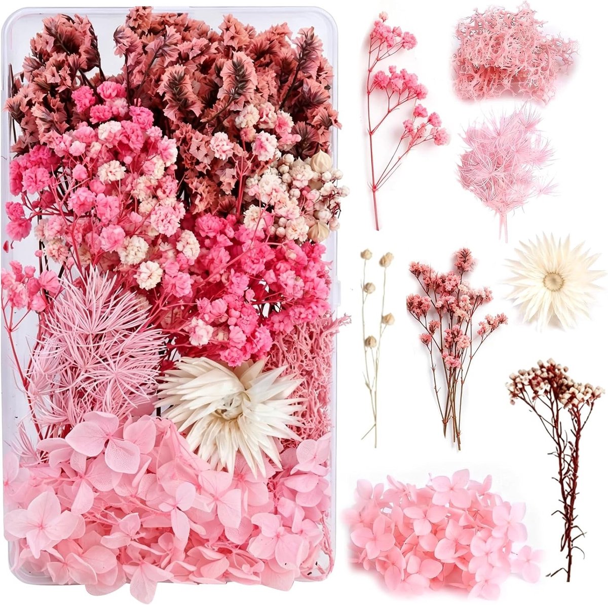 Set gedroogde bloemen voor creatieve DIY-projecten zoals epoxyhars, scrapbooking, nagelkunst en decoratie
