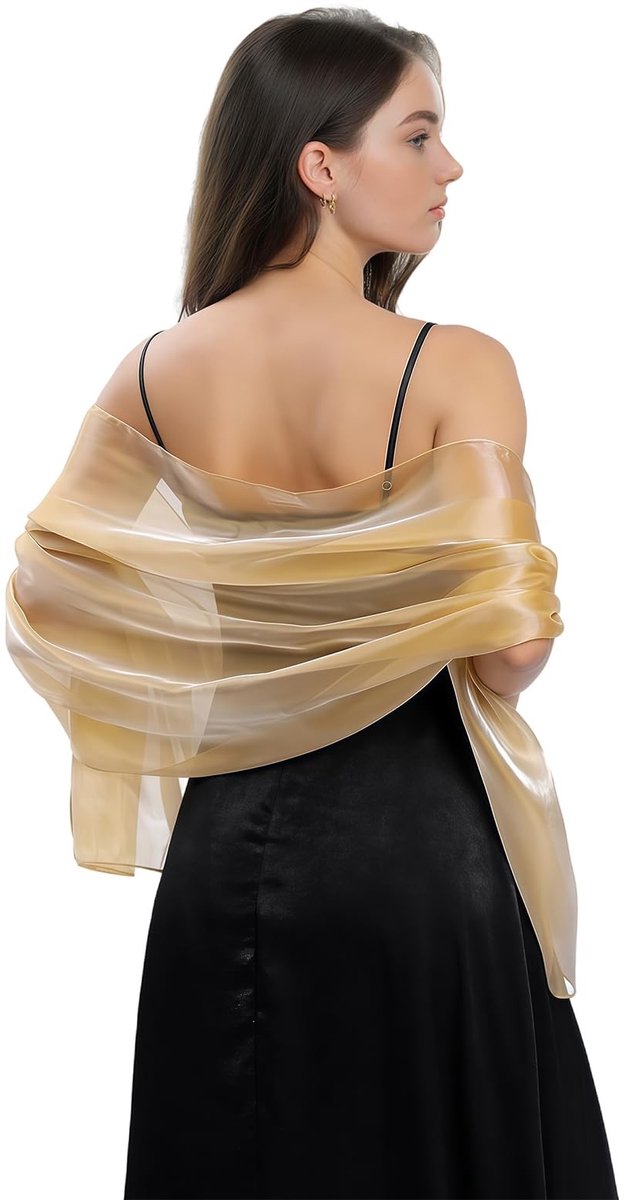 Dailygoods- Organza Sjaal - Transparant - Glinsterend - Bruidsmeisje - Formele Feestsjaal - 170 cm x 70 cm - Premium Stof