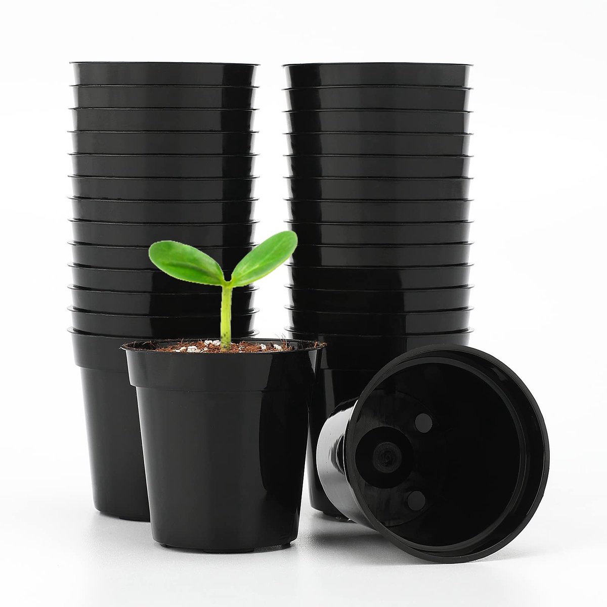 Dailygoods- Plantenpotten 50 stuks - Mini kunststof potten 5,4 cm - Zwarte zaadpotten - Ronde bloempotten - Voor zaden/zaailingen - Geschikt voor groenten/kruiden - Zaaipot