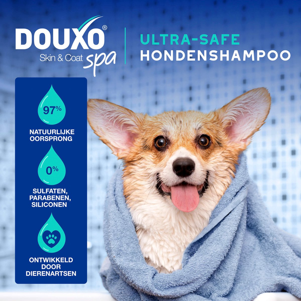 Douxo Spa Anti-geur hondenshampoo - 250 ml + Douxo Spa Spray Anti-Geur - 340 ml