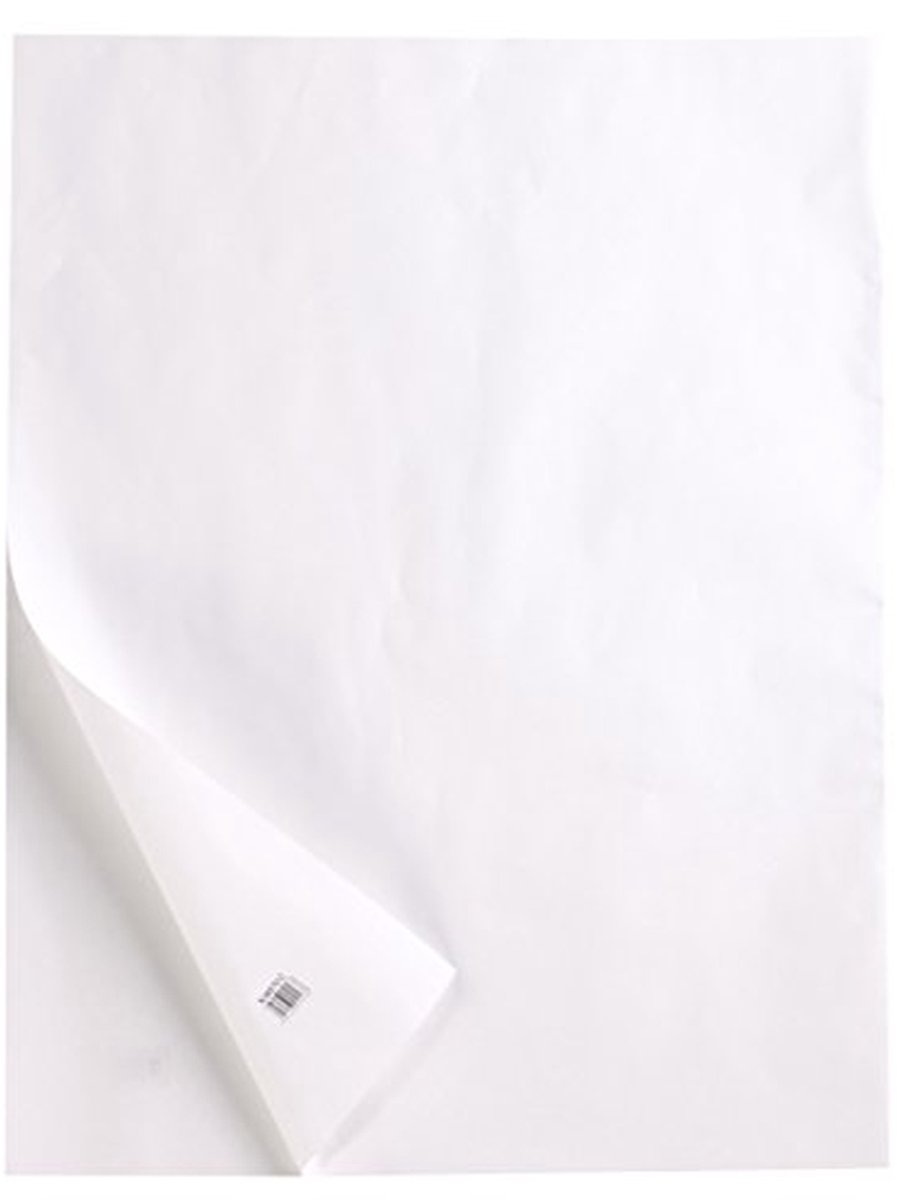 Tekencijnpapier Rol - Transparant Papier - Schetsen Ontwerpen - Hoge Transparantie - 0.66x20m - Transparant