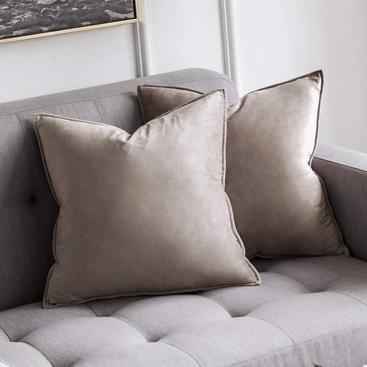 SnelShoppen - Set van 2 Velvet Decoratieve Kussenslopen 45x45 cm - Luxe Zachte Fluwelen Kussencovers met Verborgen Rits voor Woonkamer en Slaapkamer -