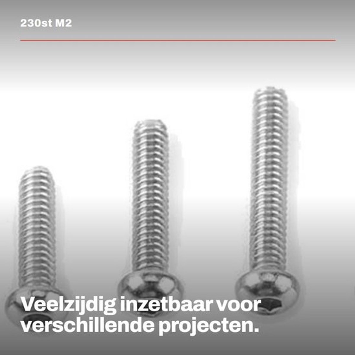 230st M2 Rvs Ss304 Hex Inbusbouten Schroeven Moeren Assortiment Kit - Hoogwaardige corrosieweerstand - Inclusief opbergdoos - Ideaal voor...