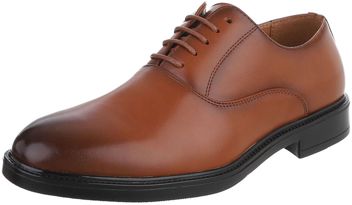 Veterschoen - Klassiek model - Heren Mt:45