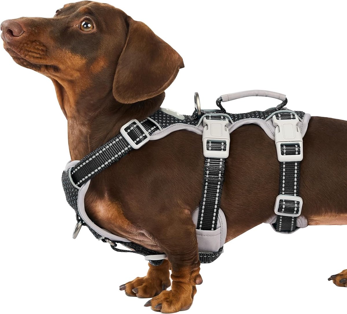 SnelShoppen - Escape Proof Hondentuig - Verstelbaar Reflecterend Vest voor Middelgrote Honden - Ademend en Antislip - Ideaal voor Hiken en Rennen - Zw