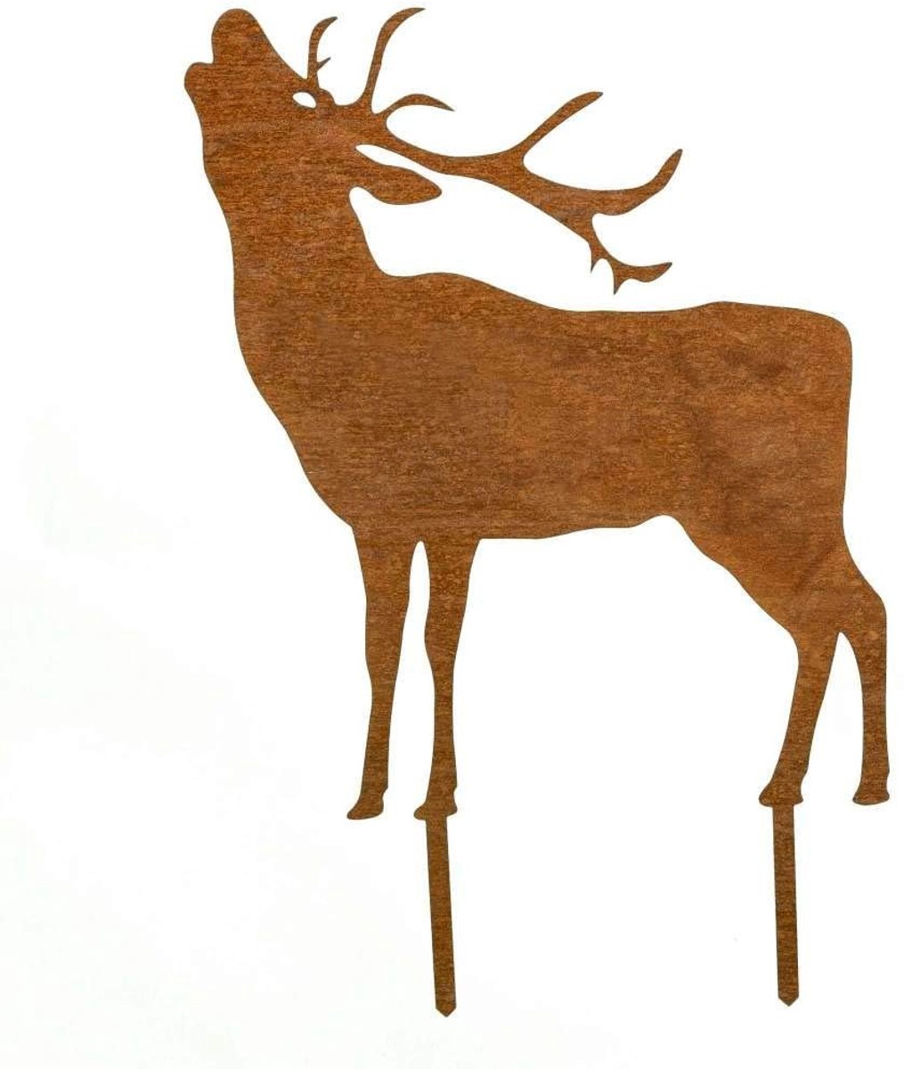 Omgoods - Corten Stalen Tuinnagels voor Decoratie