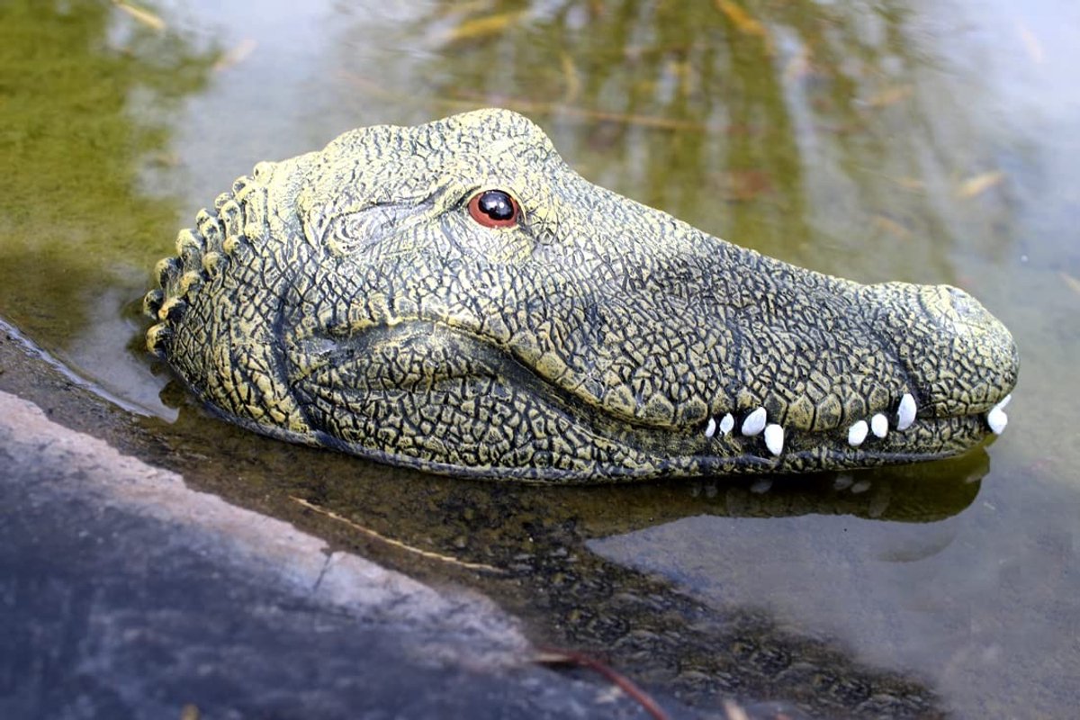 Omgoods - Decoratieve Crocodil Hoofd voor Tuin en Vijver