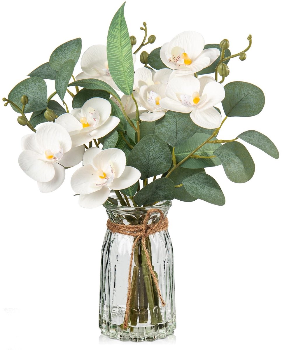 Omgoods - Kunstmatige Orchideeën met Eucalyptusblaadjes in Vaasje