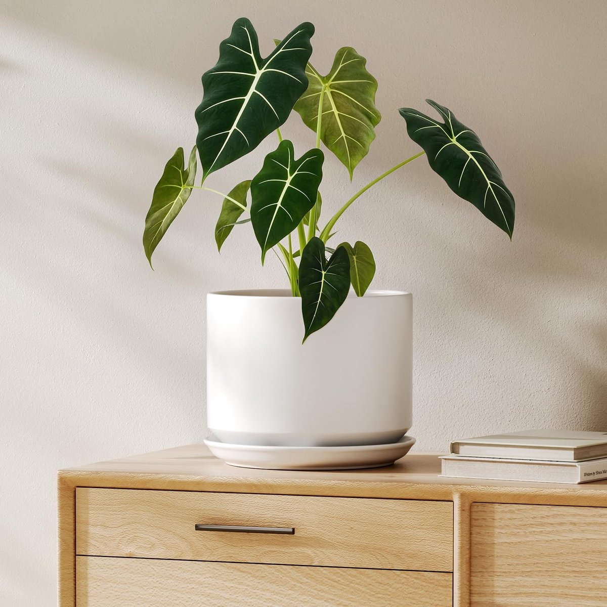Omgoods - Keramische Plant Pot 20 cm met Afvoergaatje en Schotel