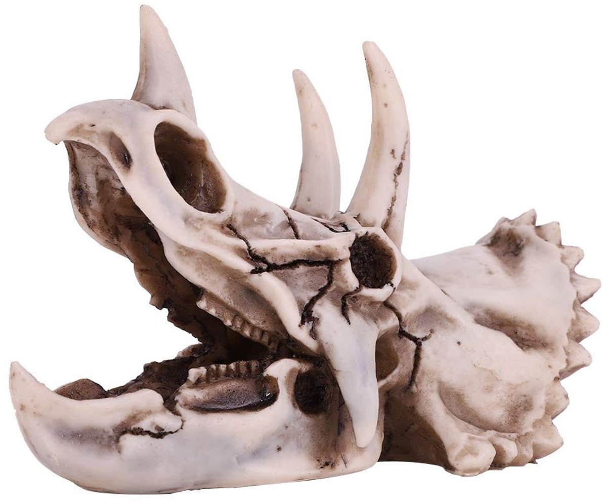 Omgoods - Dinosaurusschedel Beeldje voor Decoratie