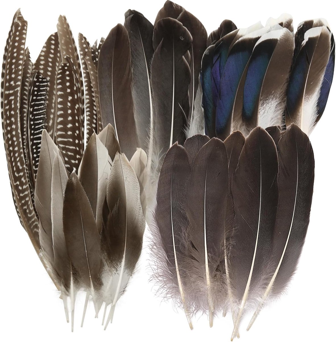 Veren-decoraties, knutselveren, natuurlijke fazantdecoratie, 5 stijlen, gestreepte en gevlekte veren om te knutselen in grote hoeveelheden, lange fazanenveren om zelf te knutselen