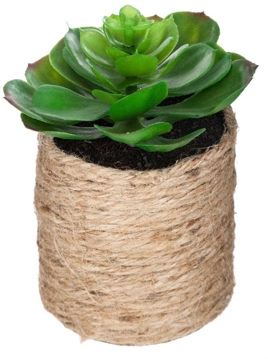 Kunstplant ETNIK