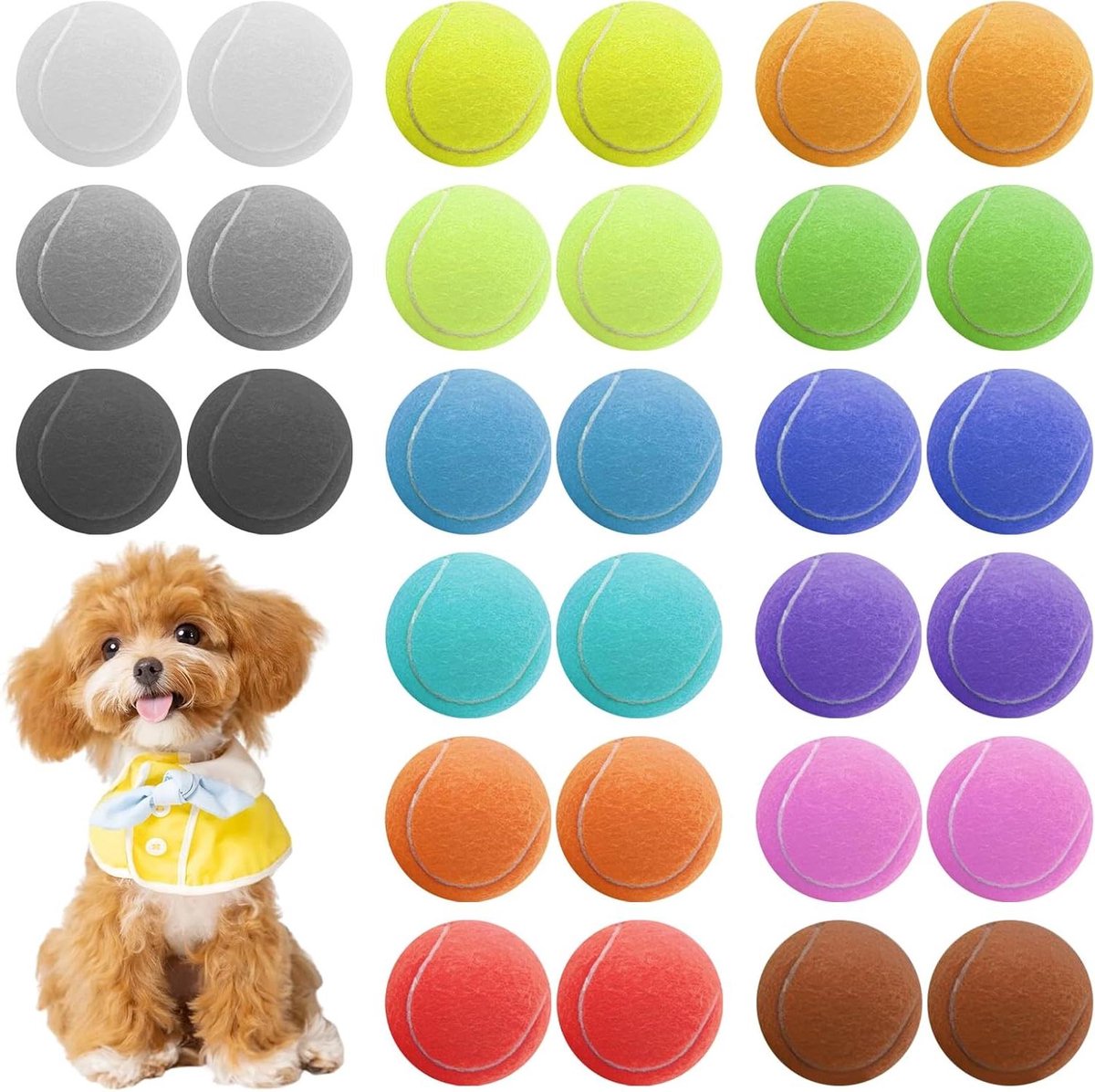 Honden Tennisballen - Speelballen Puppy - Interactief Spel - Grote Set - 6.3 cm - Multicolore