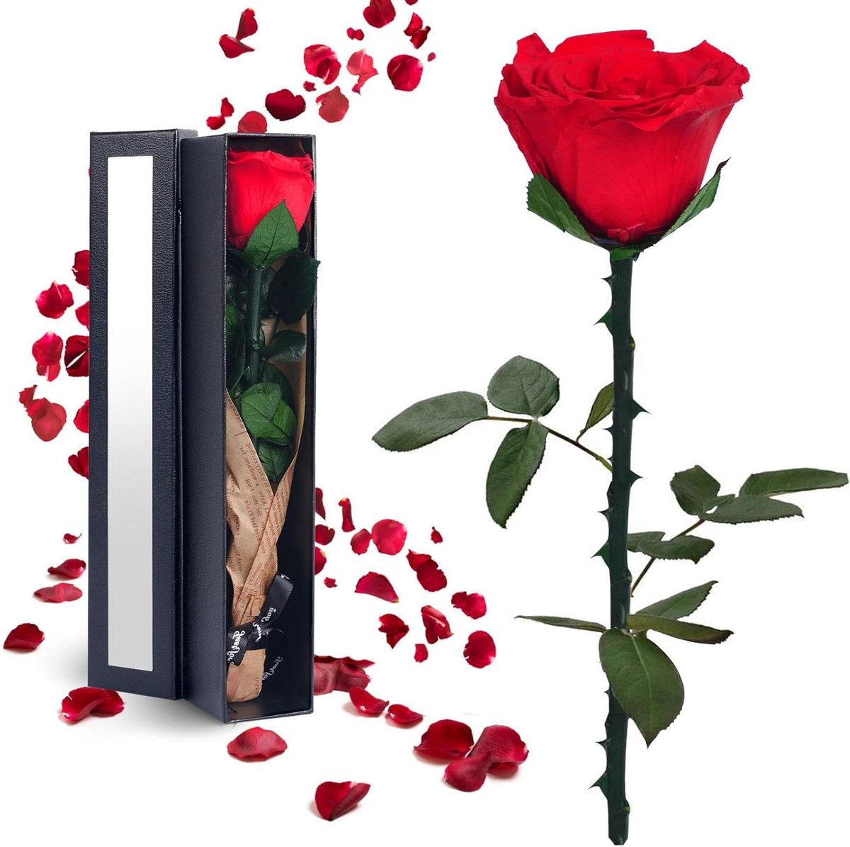 Eeuwige Roos - Bewaarde Bloem - Cadeau Verrassen - Blijft 5 Jaar Vers - 29.5 cm Hoog - Rood