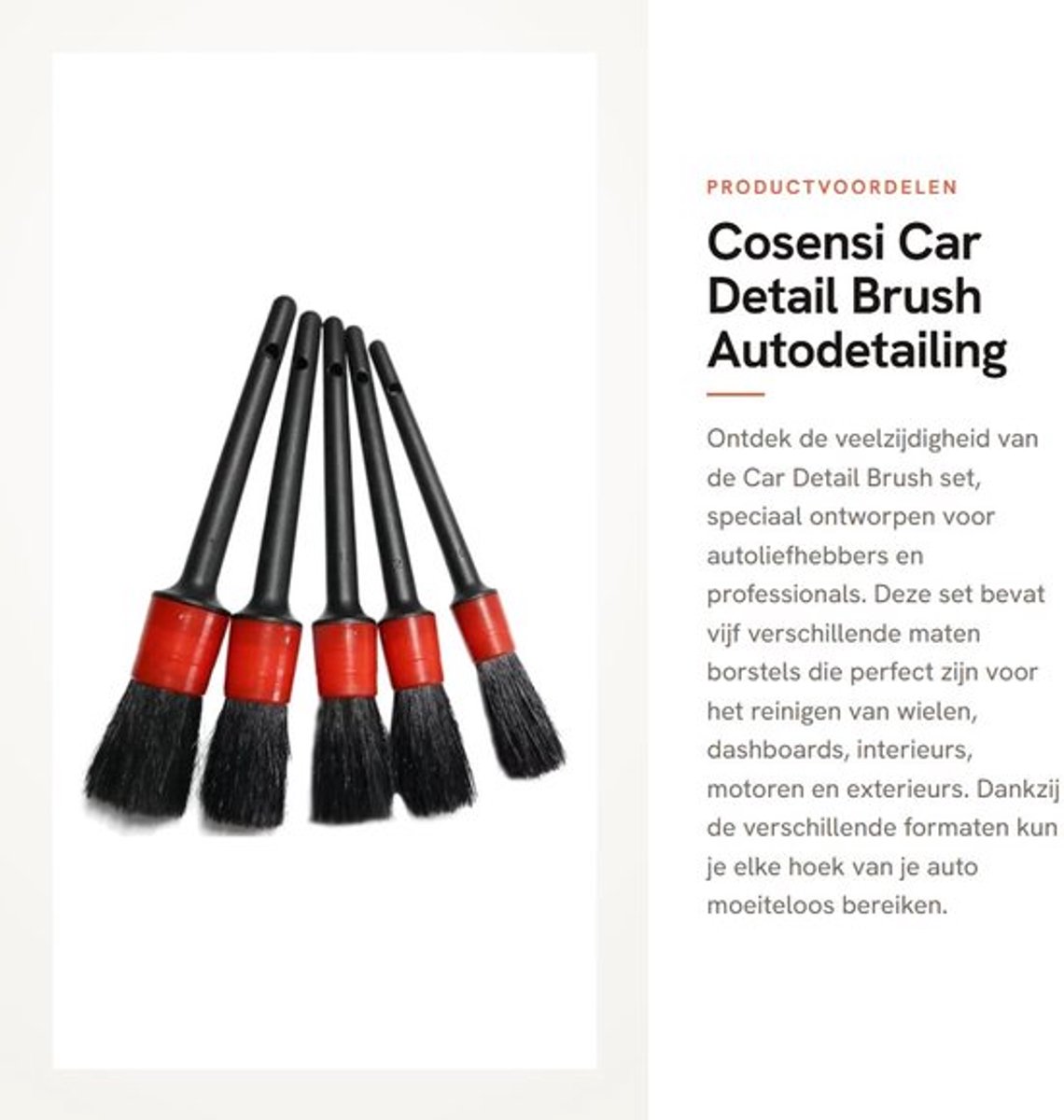 5 Verschillende Maten - Dailygoods- Autodetailing Borstel Set