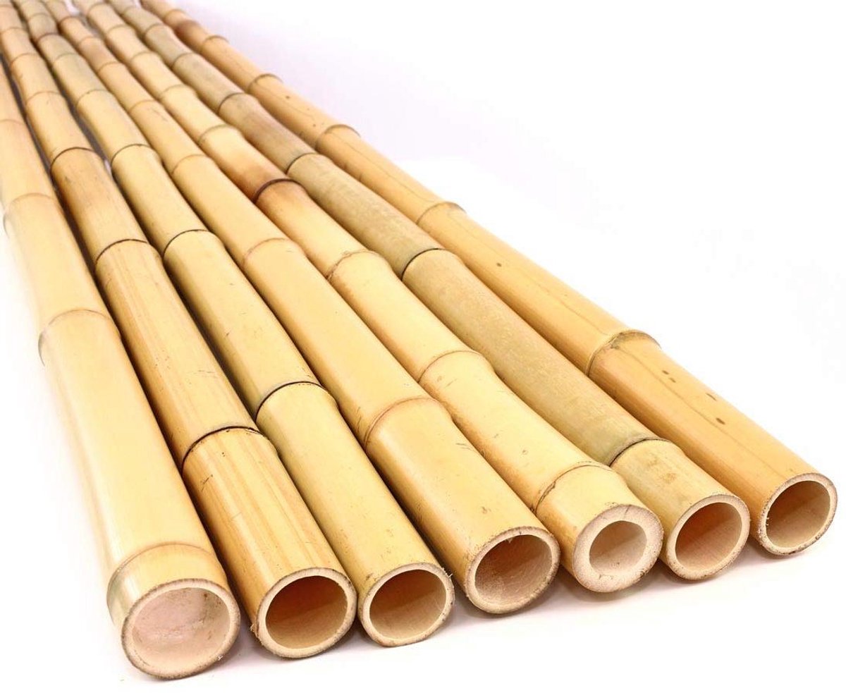 Bamboebuis Tokio - Lange bamboestok - Decoratie binnen buiten - Gelakt met blanke lak - 200 cm lang - Geelachtig