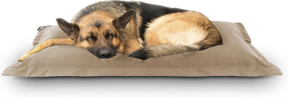 Hondenmand - Kattenmand Huisdierbed - Comfortabel Slapen - Afneembare Bekleding - 115 x 82 x 10 cm - Beige