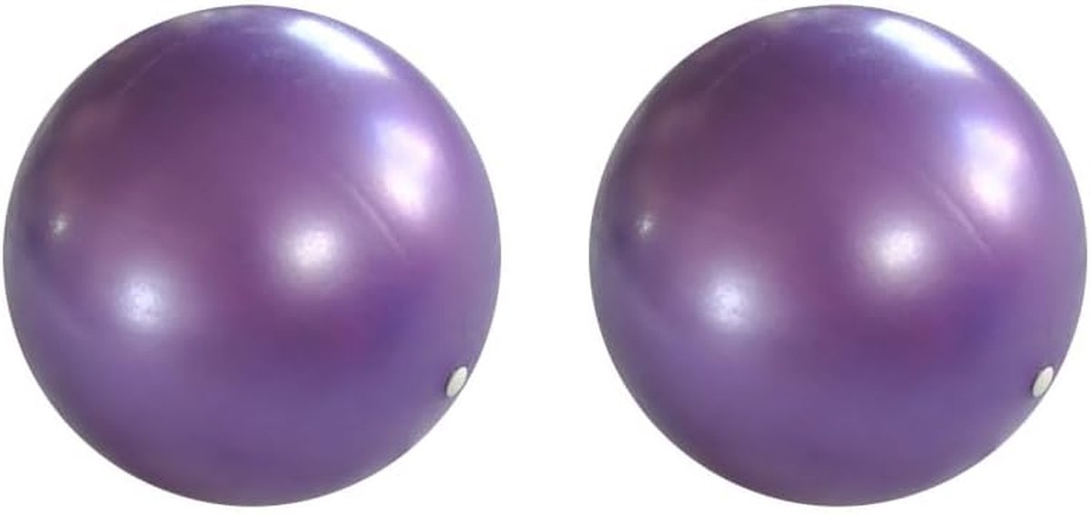Oefen Bal - Fitness Bal - Spier Ontspanning - Anti-Burst Materiaal - 25 cm - Paars