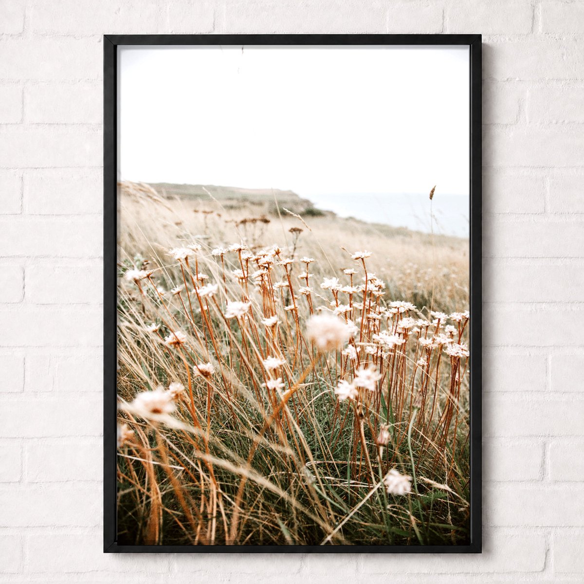 Wollegras in de Duinen Poster - Wildflower Nature Collection - Natuur Posters - A1+ 61 x 91,5 cm