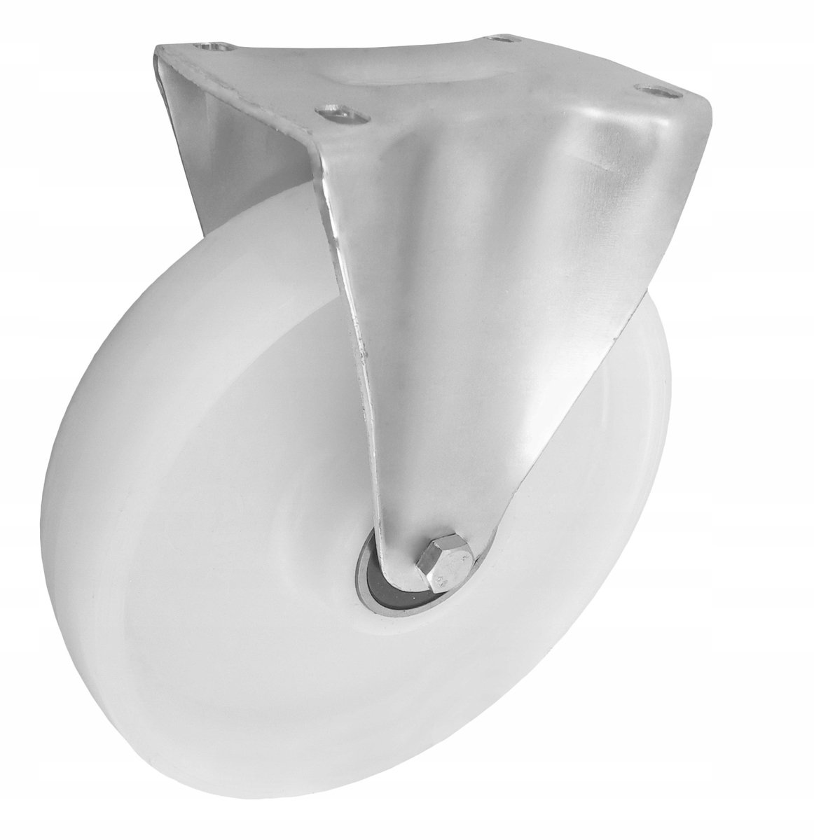 Polyamide Zwenkwiel Ø250mm, 300kg Laadvermogen, Vaste Behuizing