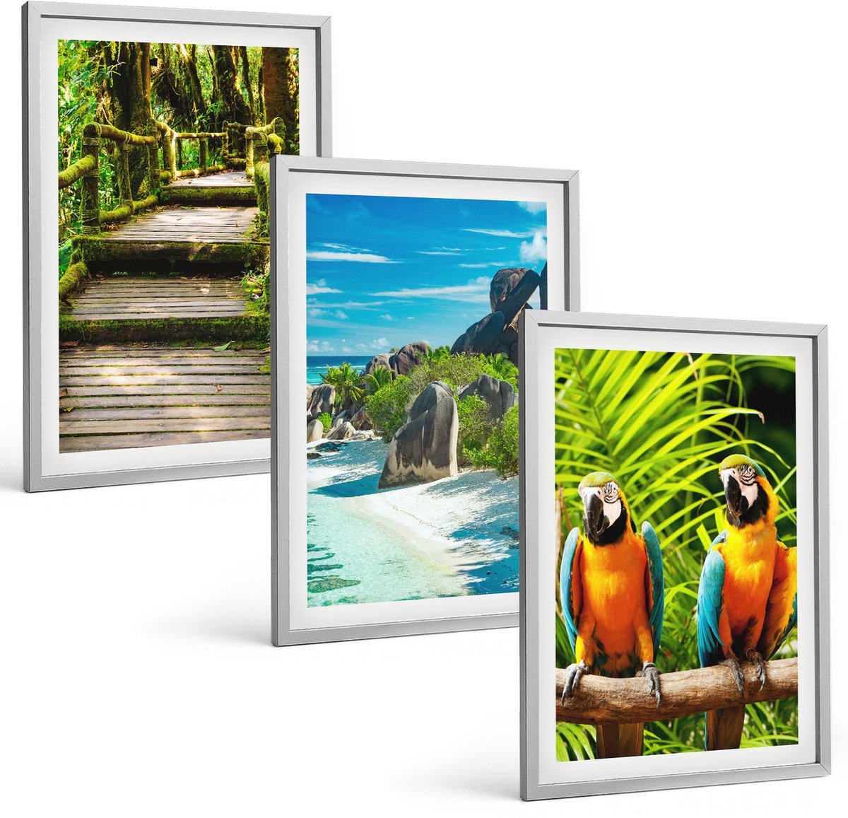 TULUP 4-Delige Schilderij Set - Tropisch bos met waterval en kleurrijke papegaaien - 40 x 60 cm - Stijlvolle Muurdecoratie - Kantoor - Decoratieve Schilderijen Zilveren lijst
