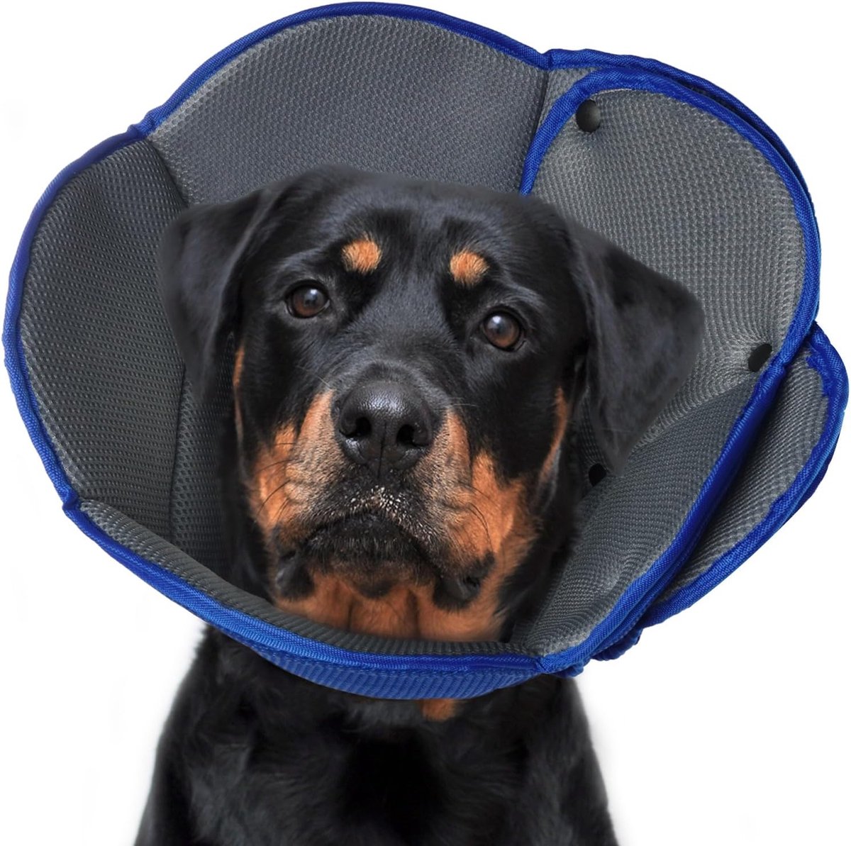 Adjustable Dog Cat Collar Anti Licking Healing Cone Confluence After Surgery Blue L - ShopVlot