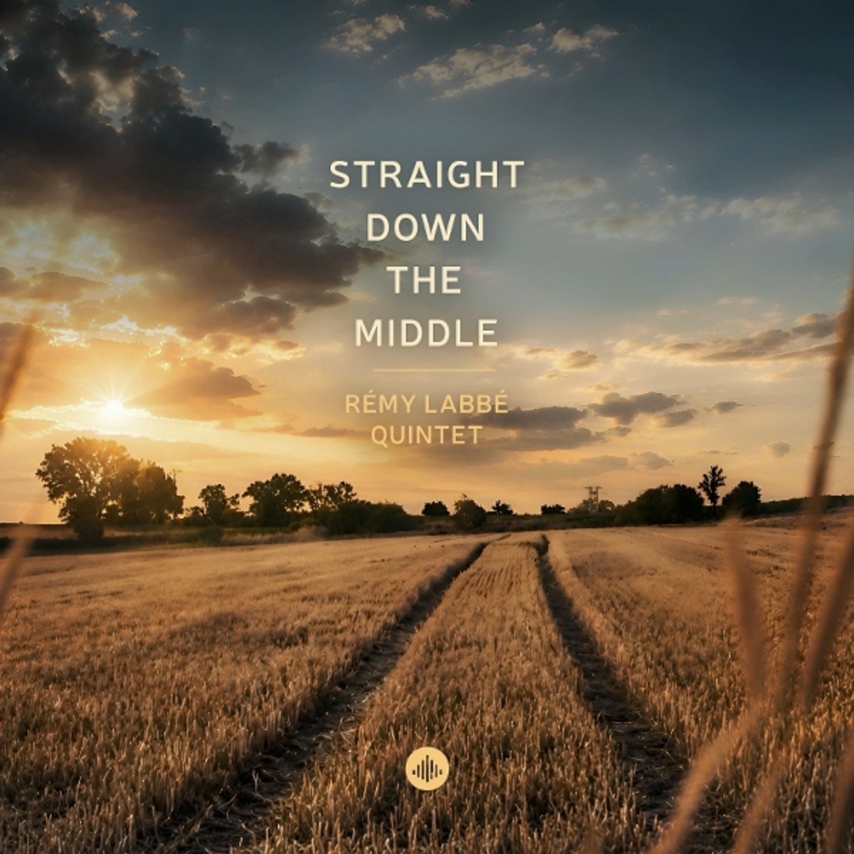 Remy Labbe Quintet - Straight Down The Middle (CD)