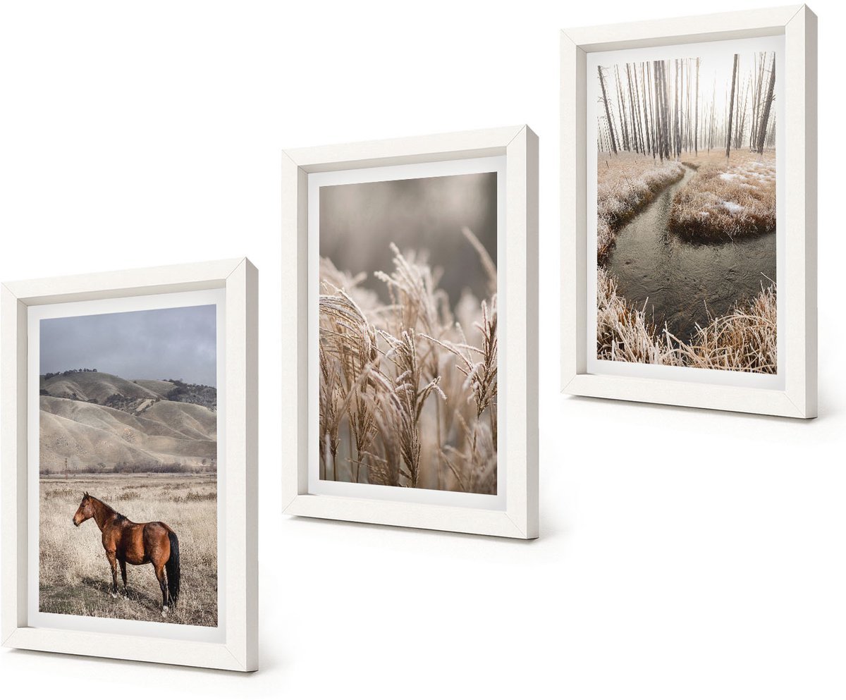 Coloray 3-Delige Schilderij Set - Paarden in een landschap met grassen en een winterbeek. - 20x30 - Wanddecoratie - Muurdecoratie - Woonkamer - Stijlvolle Muurdecoratie