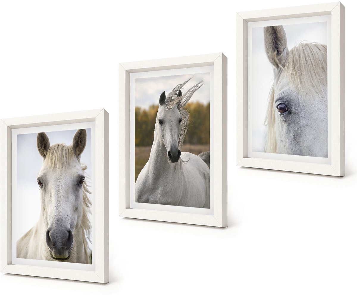 Coloray 3-Delige Schilderij Set - Witte paarden in verschillende houdingen tegen een natuurlijke achtergrond. - 20x30 - Wanddecoratie - Moderne Interieurdecoratie
