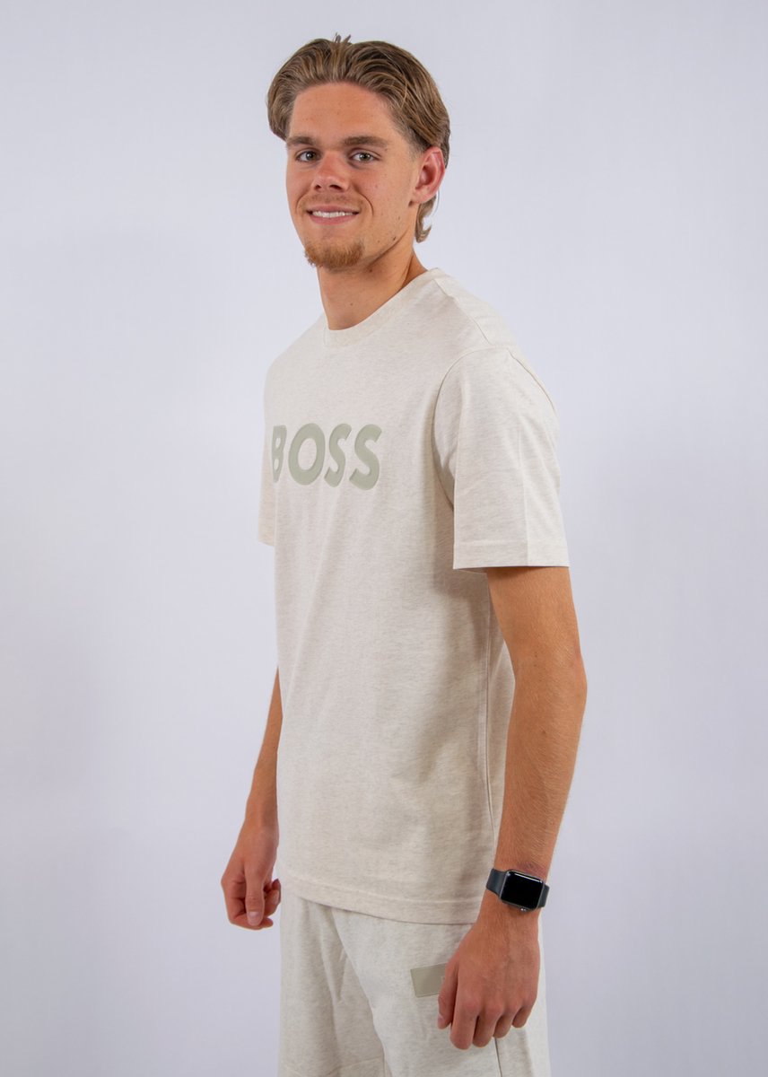 BOSS TS_Structure Logo