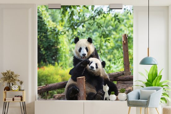 Deux pandas assis sur une plateforme en bois dans un environnement forestier.