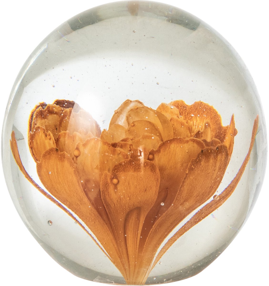 J-Line presse-papier Bal Bloemen - glas - brons - small