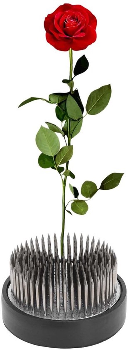 Bloemenkikker - Roestvrij Staal - Kikker met Naald 60 mm - Bloemstukken - Tafelopzetstukken - Duurzaam Ontwerp - Bloemschikking