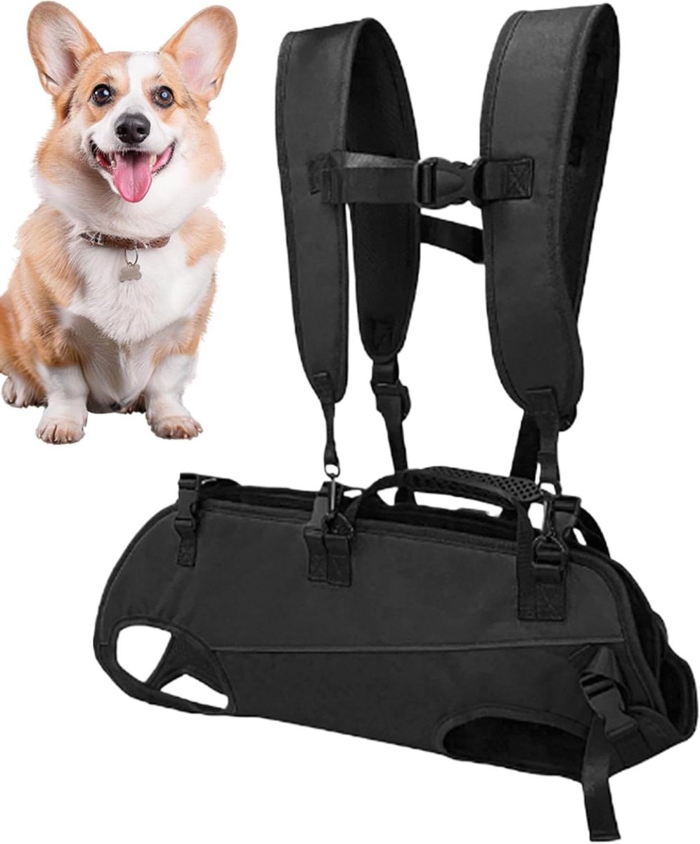 Honden Draagtas - Honden Rugzak - Ondersteuning Tijdens Wandelen - 360 Graden Ventilatie - Maat S - Zwart