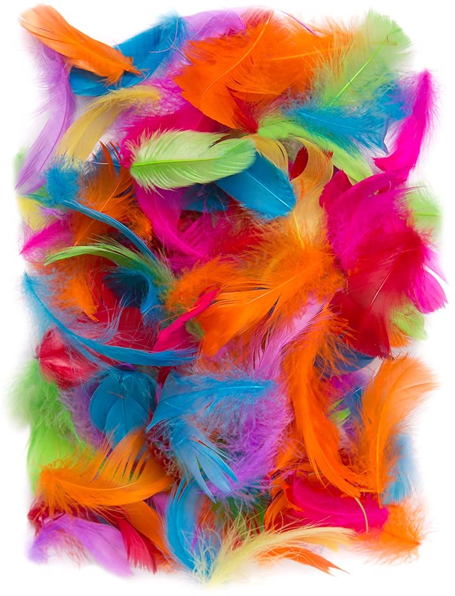 150 stuks kleurrijke decoratieve vogel veren 10g natuur voor DIY Crafting pasen kerstmis figuur maskers bruiloftsfeesten