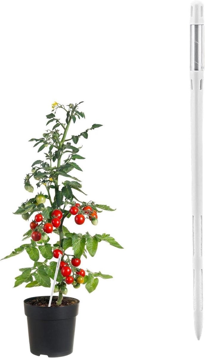 Bodemtester - Vochtmeter Planten - Planten Verzorgen - Batterijvrij - 26 cm - Wit