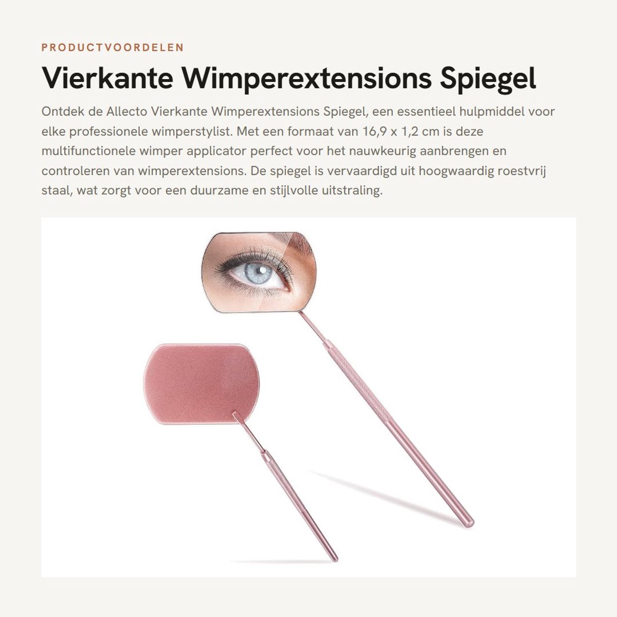 Dailygoods- Wimperextensions Spiegel - Roestvrij Staal - Multifunctioneel Gereedschap - 16,9 x 1,2 cm - Zilver/Roségoud - 1 Stuk - Wimperinspectiespiegel