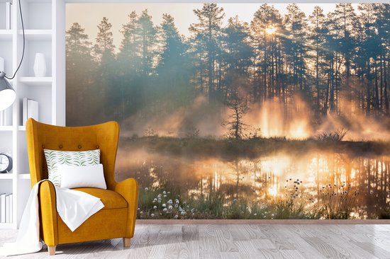 Papier Peint - Papiers Papier peint photo Lac - Soleil - Arbre - Largeur 360 cm x Hauteur 240 cm