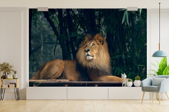 Papier Peint - Papier peint photo Lion - Forêt - Sauvage - Largeur 390 cm x Hauteur 260 cm